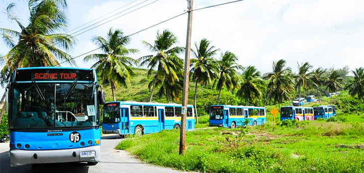 ZR Van on Route to Bridgetown, Barbados Pocket Guide