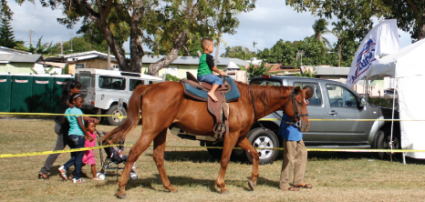 Young Boy Horseback Riding at Agrofest, Bridgetown, Barbados Pocket Guide