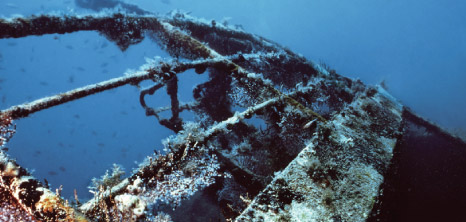 Shipwreck, Barbados Pocket Guide
