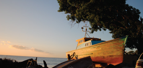 Barbadian Fisherman Sanding His Boat Against a Beautiful Sunset, Barbados Pocket Guide