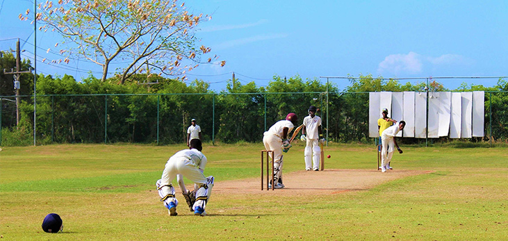 Cricketers Playing Cricket at Queen's Park, Bridgetown, Barbados Pocket Guide
